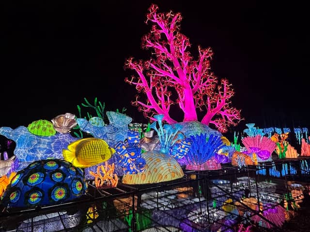 North Carolina Chinese Lantern Festival - Image 3