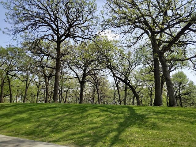 Black Hawk Park - Image 2