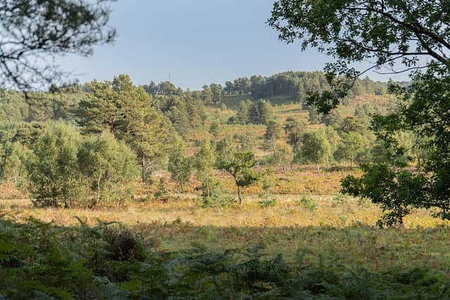 Barossa Nature Reserve - Image 2