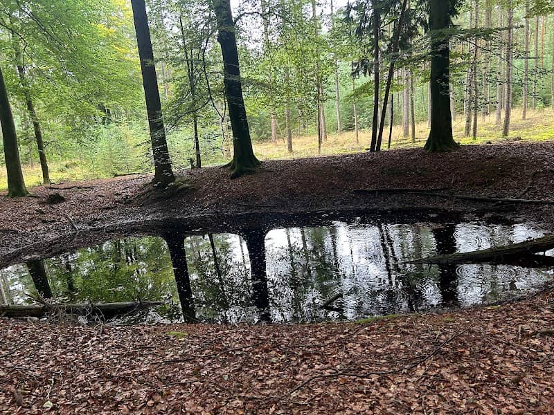 Schapenwaspoel - Image 1