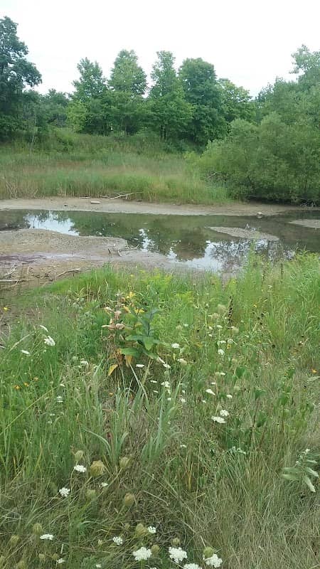 Rawson Park - Image 1