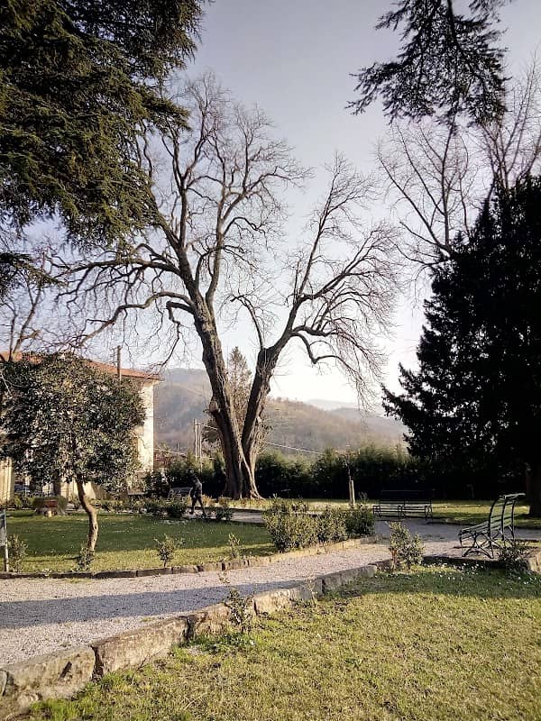 Villa Comunale - Image 1
