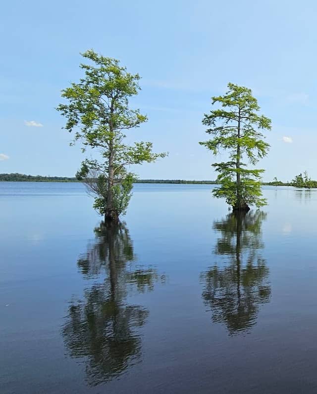 Lake Drummond Reflection Pier - Image 1