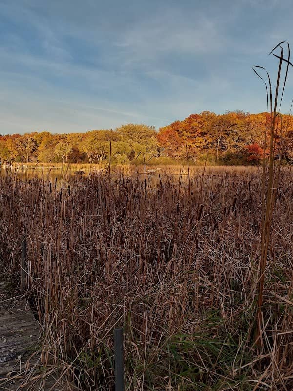 Runyard Wilson Park - Image 1