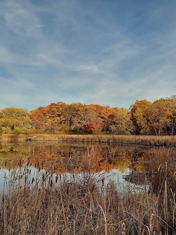 Runyard Wilson Park - Image 2