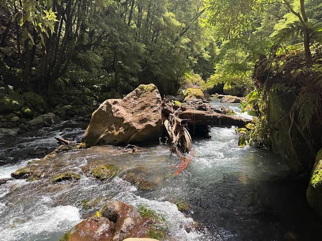 Tiny waterfall - Image 1
