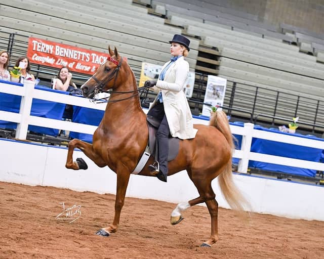 Liberty Farm Equestrian Center - Image 2