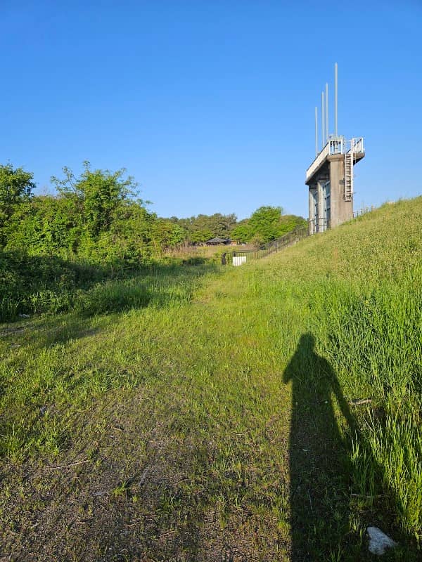 琵琶湖松原 - Image 1