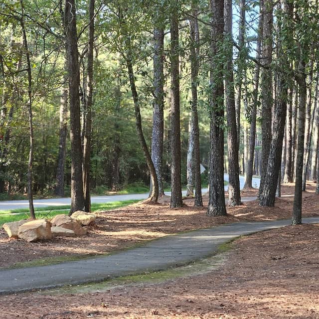 Destination Park - Image 1