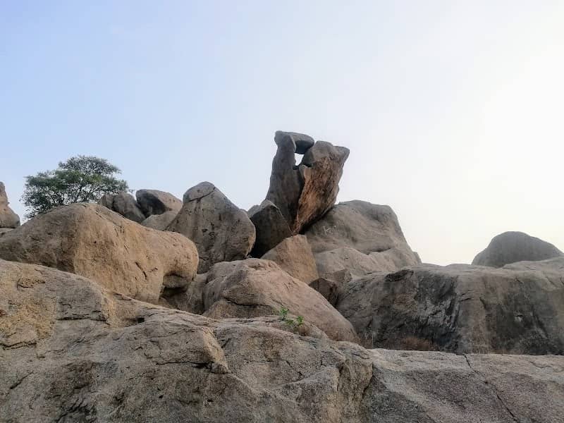 Coq Rock - Image 1
