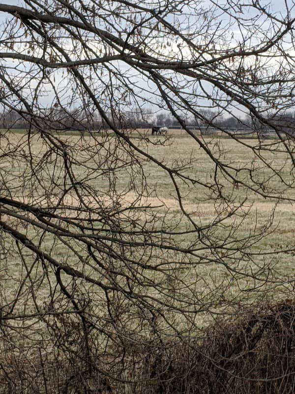 Willow Run Park Walking Path - Image 1