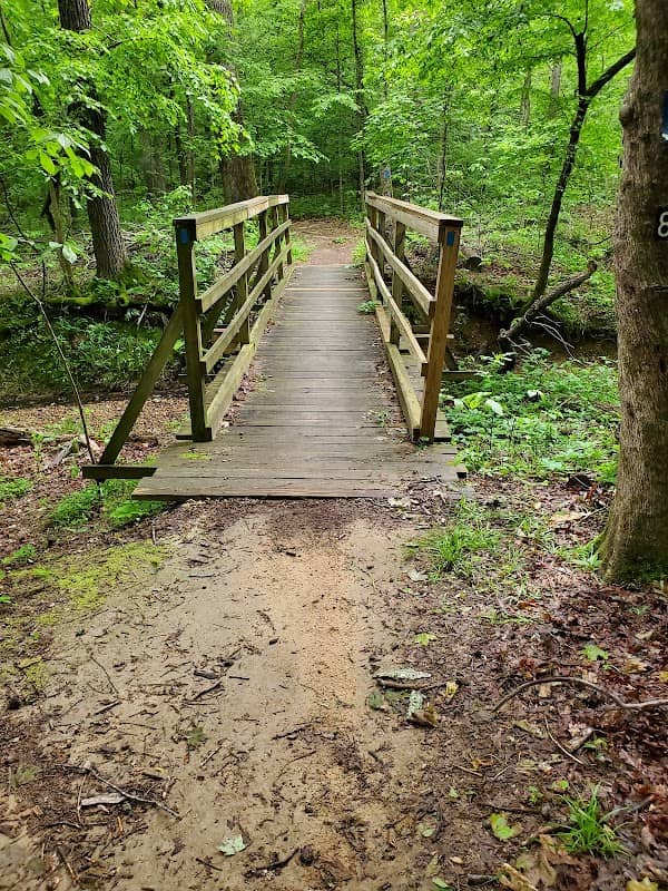 Canal Loop Trailhead at Kentucky Lake Scenic Drive - Image 1