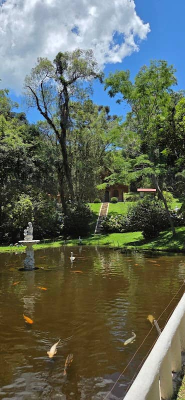 Chacara ouro fino - Image 1