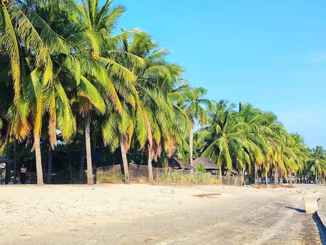 Boardwalk - Image 1