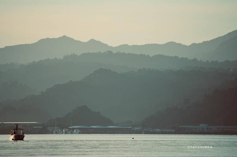 Boardwalk - Image 2