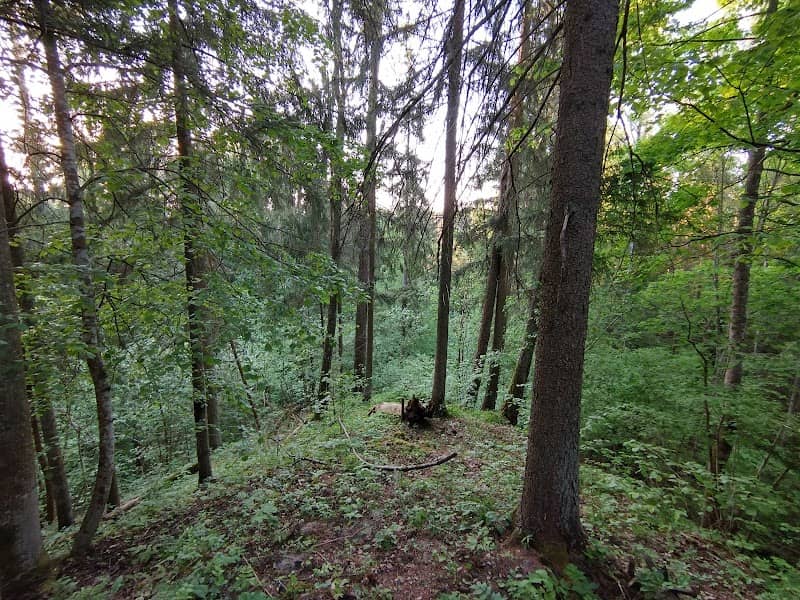 Latvių piliakalnis - Image 1