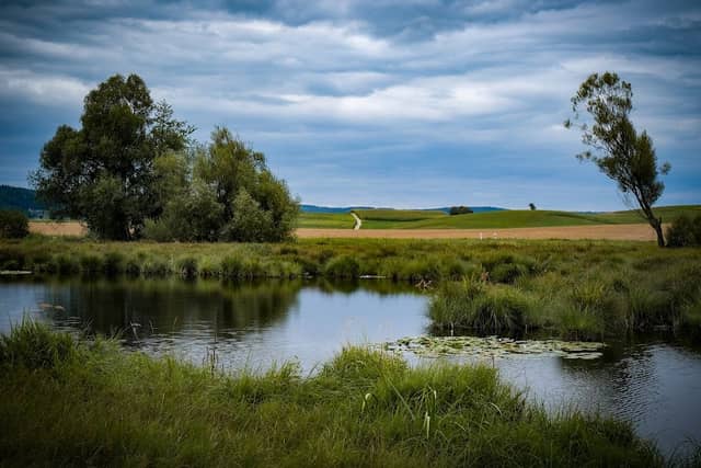 Naturschutzgebiet Stadlersee - Image 1