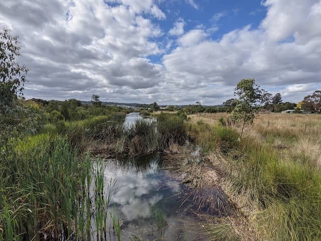 Gilbert Reserve - Image 2