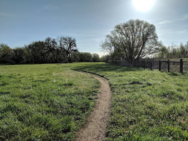 Maple Valley Park - Image 2