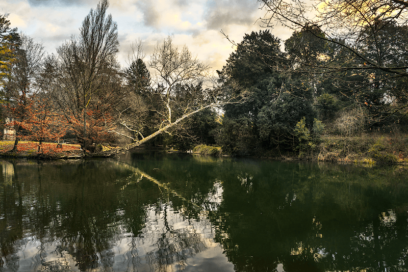 Parco Storico Villa Cappello - Image 2