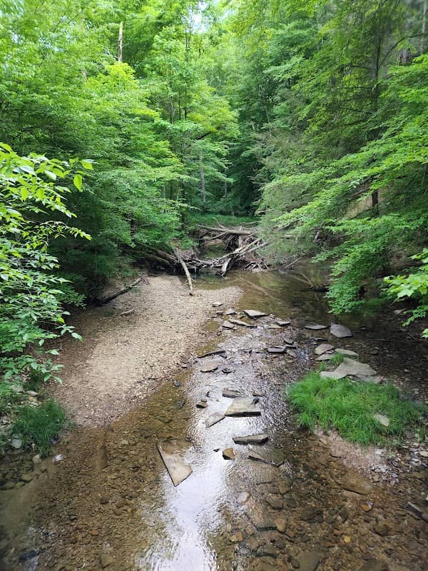 Clear Creek Picnic Area - Image 1