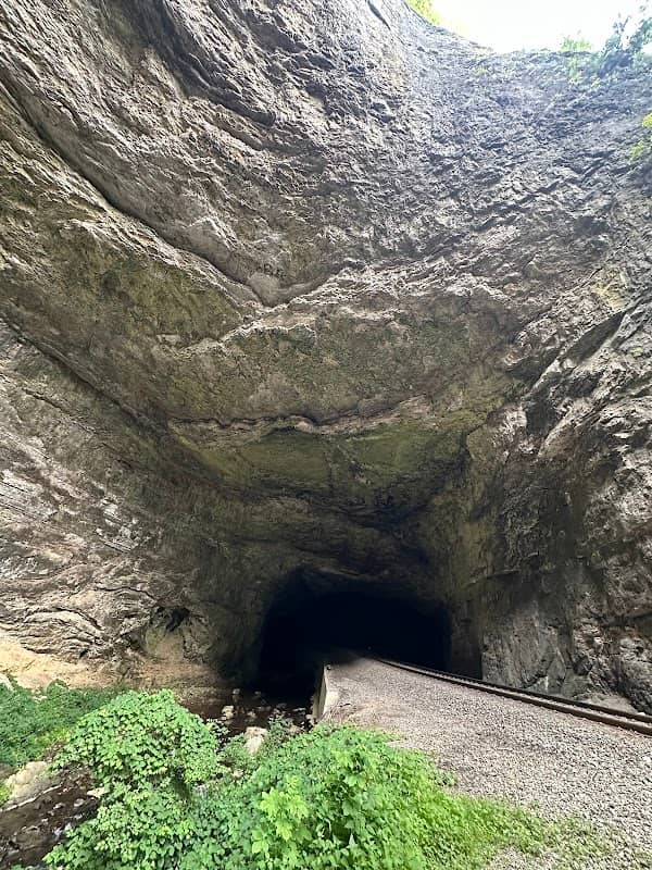 The Natural Tunnel - Image 3