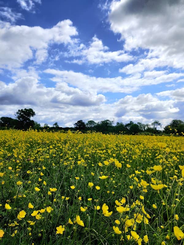 Glen Hills Nature Reserve - Image 2