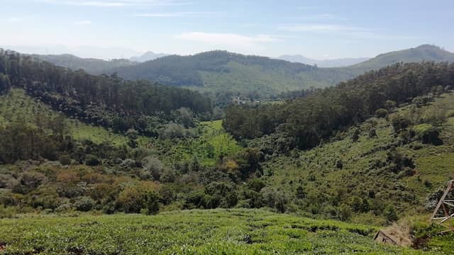 Tea view Point - Image 1