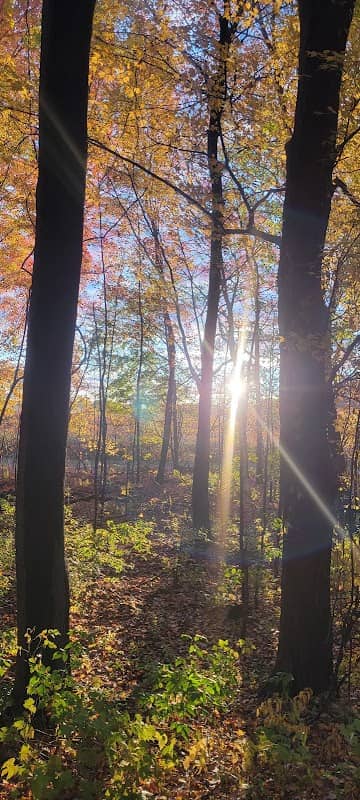 North Bank Trail - Image 2