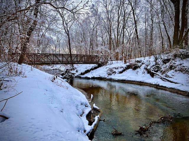 Halfway Creek Trail - Image 1