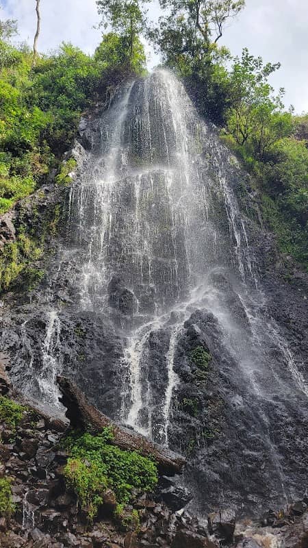 Cedar waterfall - Image 1