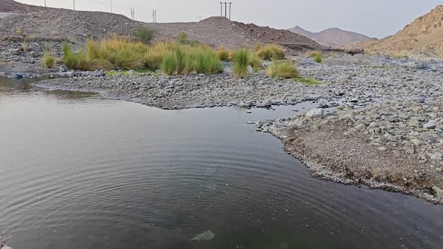 الطويسيه بلدة الغروة - Image 1