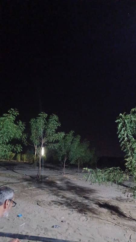 مزرعة بن بادي - Image 1
