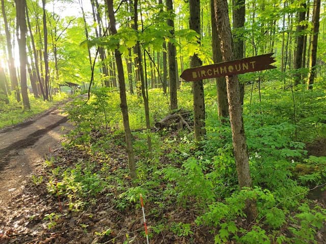 Woodland Trails - Birchmount Village - Image 2