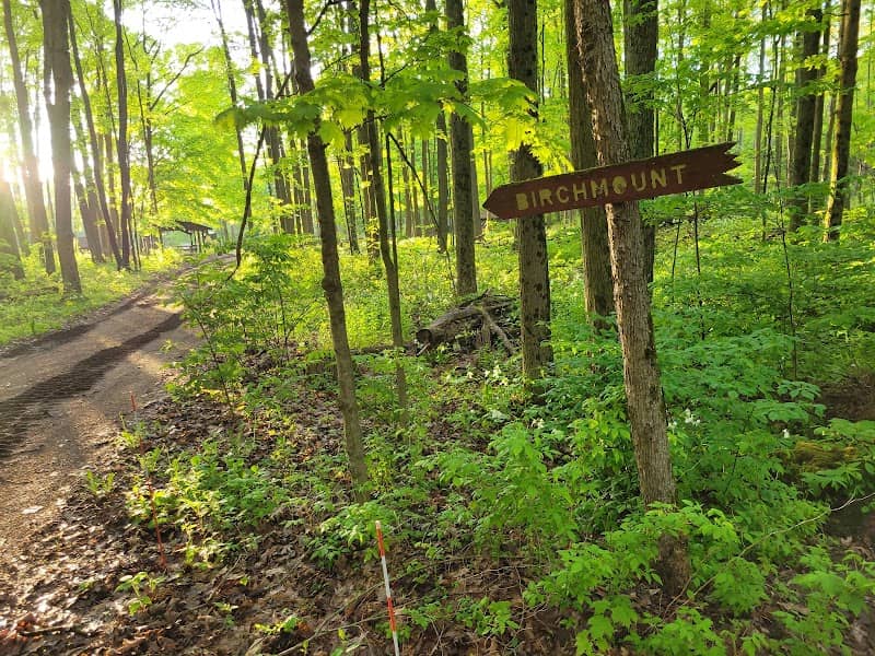 Woodland Trails - Birchmount Village - Image 2