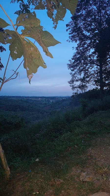 Warren's Nature View - Image 1