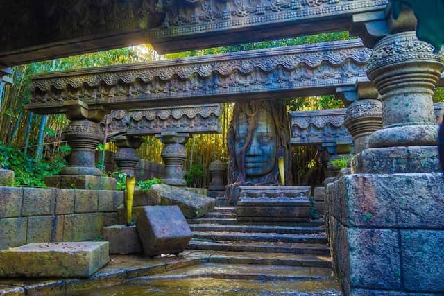 Jungle Cruise: Wildlife Expeditions - Image 3