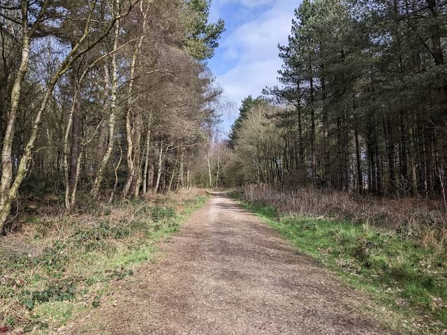 Thieves Wood - Image 2