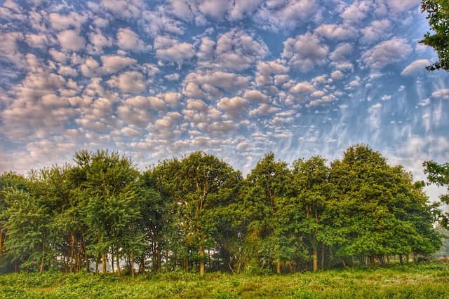 Tiptree Heath - Image 2