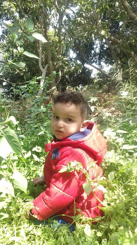 هنا - Image 1