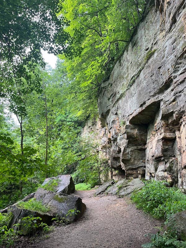 Wildcat Den State Park - Image 2
