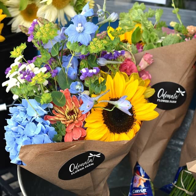 Odonata Flower Farm - Image 1