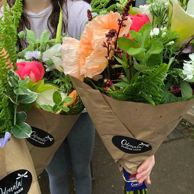 Odonata Flower Farm - Image 2