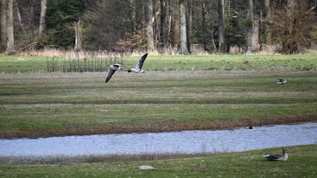 Vogelbeobachtungshütte Blutwiese - Image 1