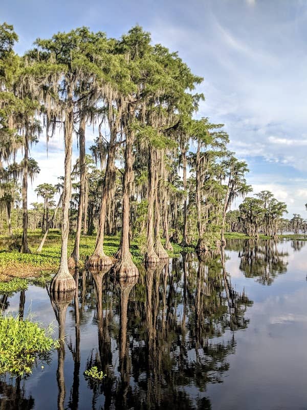 Banks Lake National Wildlife Refuge - Image 2