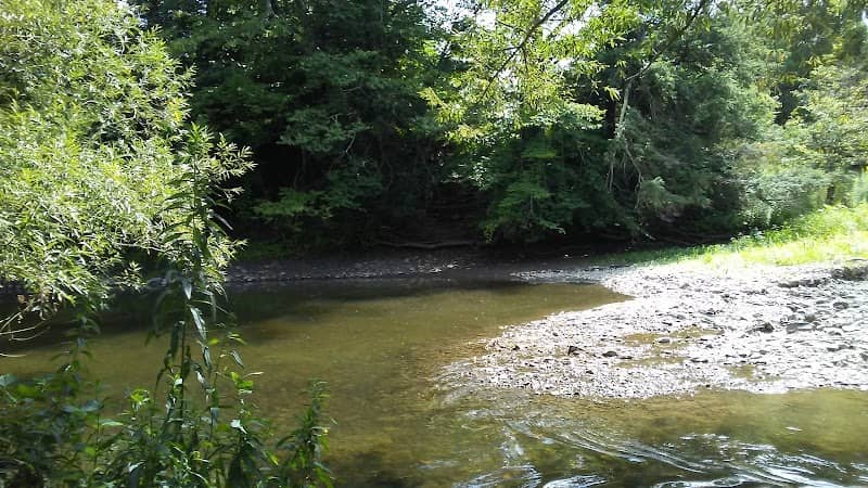 Campbell Meadows Natural Area - Image 2