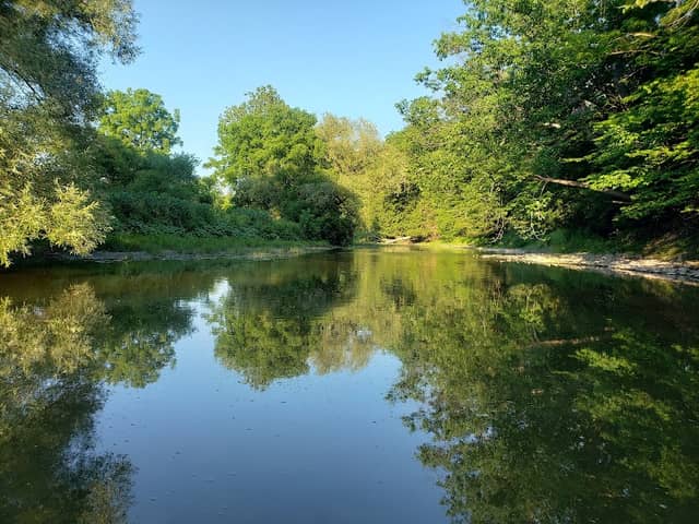 Campbell Meadows Natural Area - Image 1