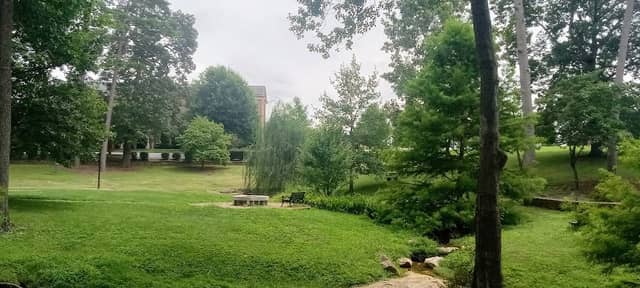 Springs Area - Image 1