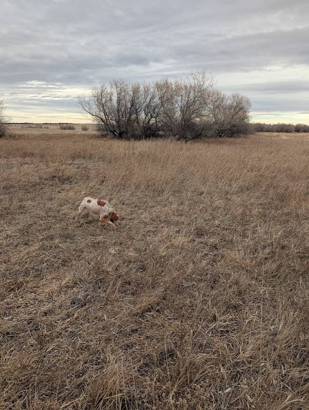 Spidel Waterfowl Production Area - Image 2