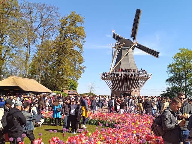 Keukenhof Windmill - Image 3